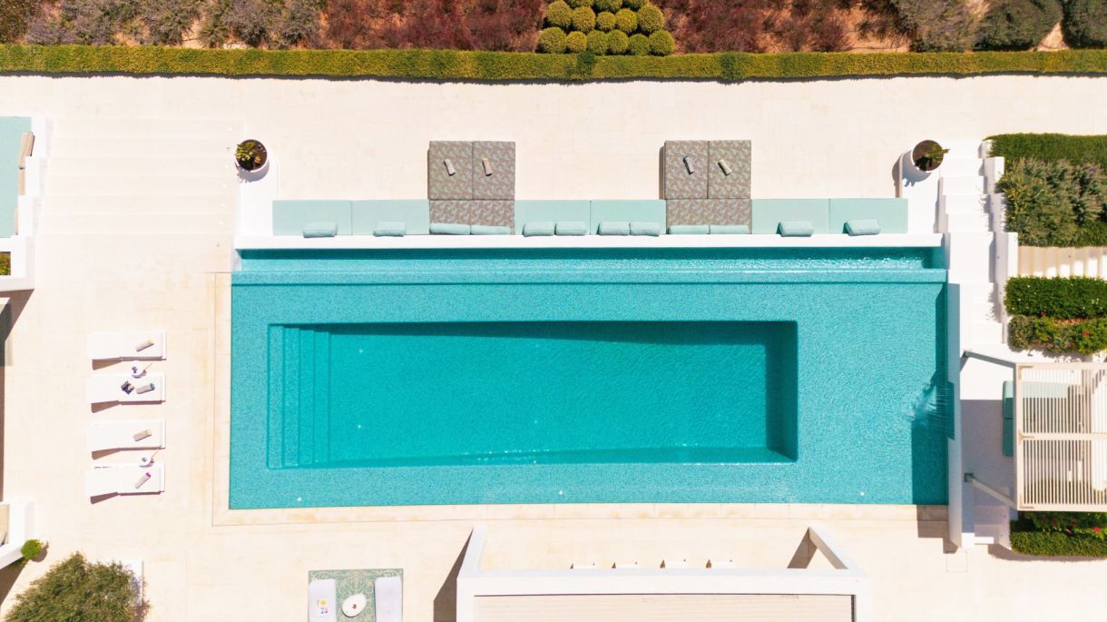 Amaryllis One image 3