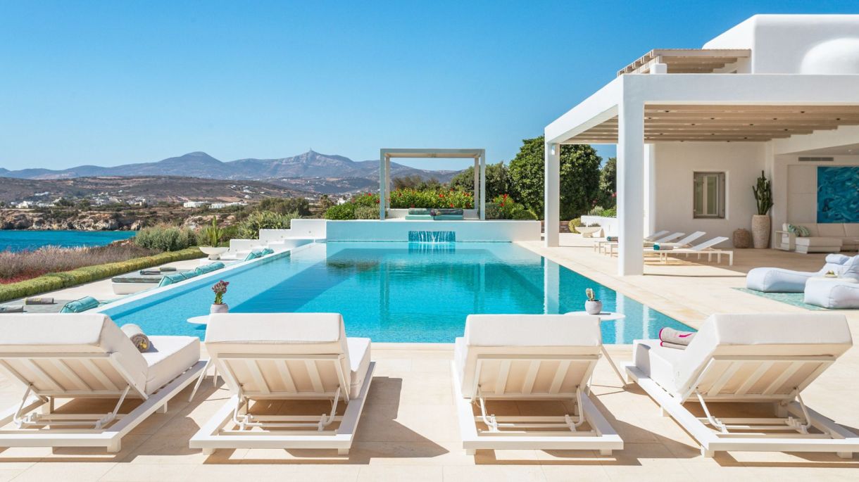 Amaryllis One image 2