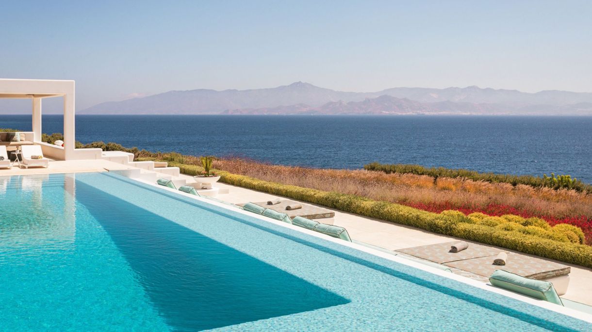 Amaryllis One image 5