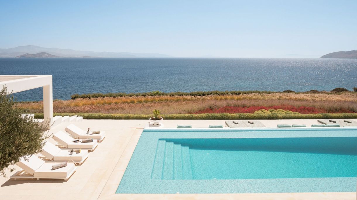 Amaryllis One image 4