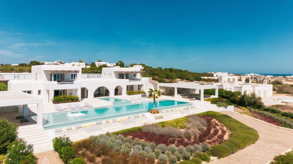 Amaryllis Four image 1