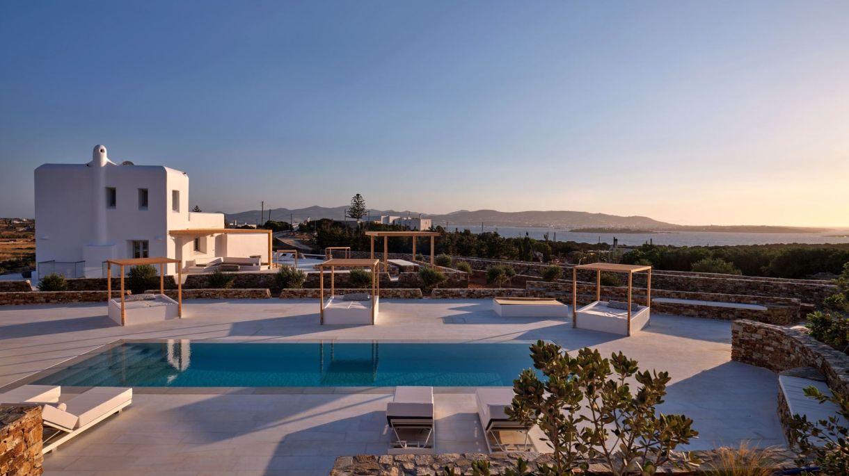 Seashell Two image 5