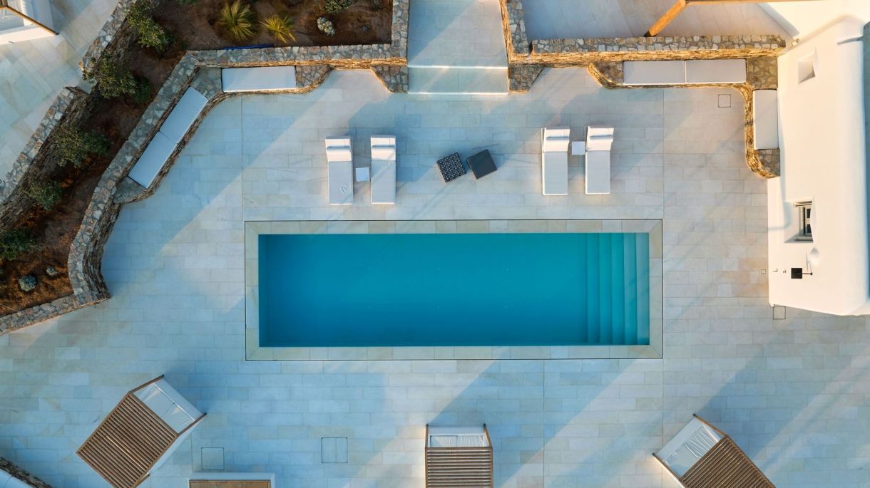 Seashell One image 3