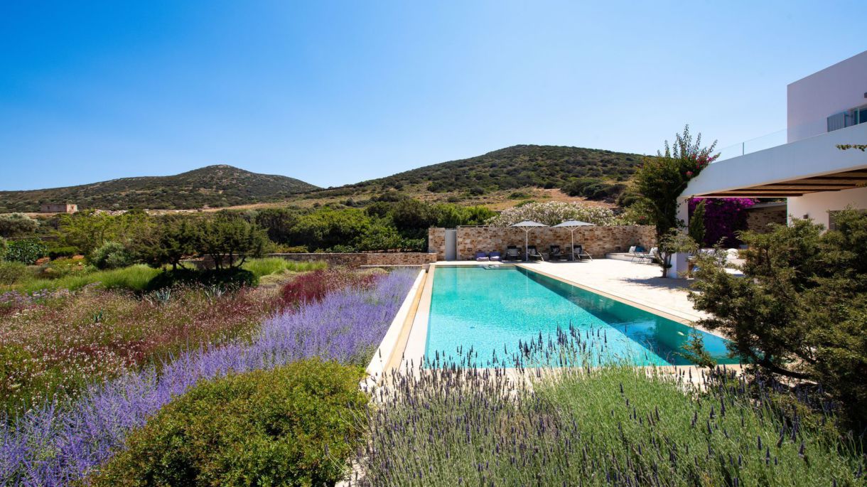 Luminous Retreat image 4