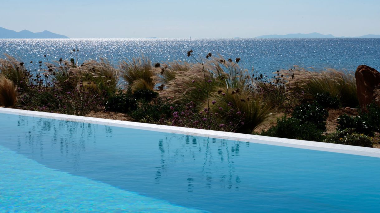 Almyra Complex image 3